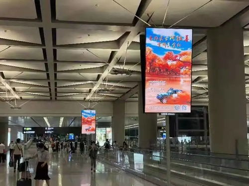 醉美金秋邀您同行 阿拉善宣傳廣告亮相上海虹橋國際機(jī)場